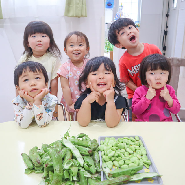 そら豆とったよ～！！