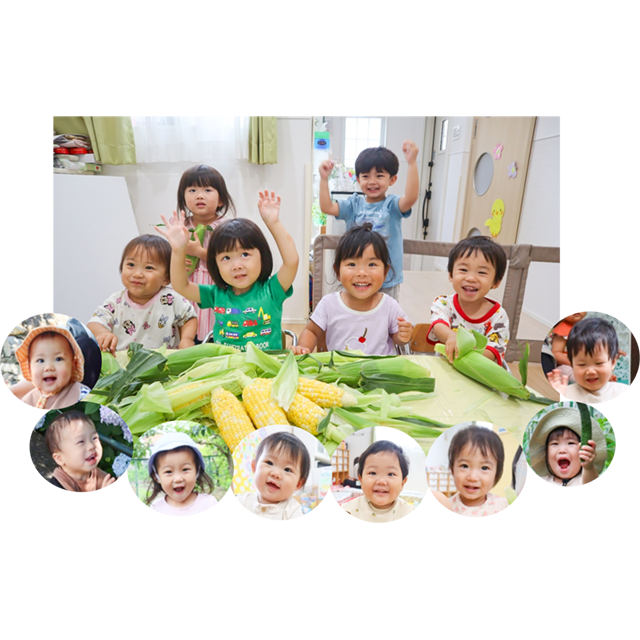 残暑見舞い